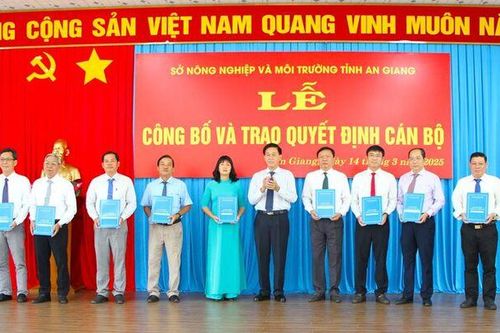 Sở Nông nghiệp và Môi trường trao quyết định 93 cán bộ lãnh đạo quản lý
