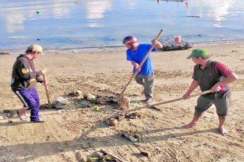 Ngư nghiệp xanh, môi trường sạch