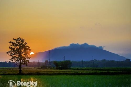 Người mê chụp ảnh mặt trời