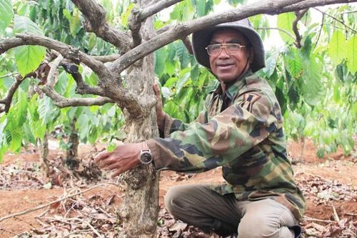 Hành trình khẳng định giá trị cà phê