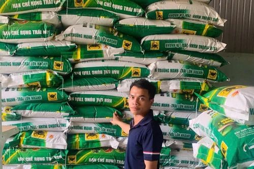 Ksor Chiến quyết tâm làm giàu trên mảnh đất quê hương