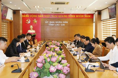 UBND tỉnh Lào Cai làm việc với Công ty TNHH Tập đoàn Xây dựng Thái Bình Dương (Trung Quốc)