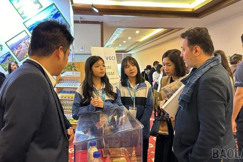 Những tình nguyện viên tại 'Gặp gỡ 2025'