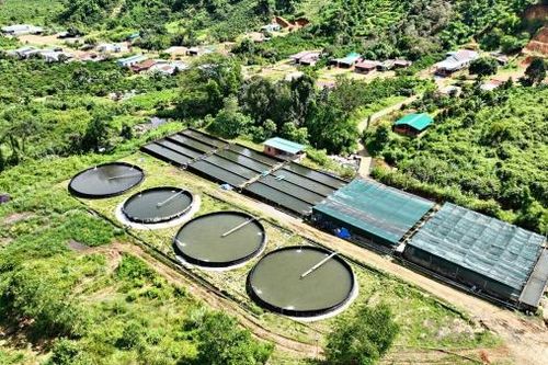 Đảm bảo nguồn nước cho hoạt động nuôi trồng thủy sản