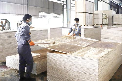 Nâng cao năng suất, chất lượng hàng hóa dựa trên nền tảng khoa học công nghệ