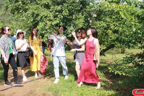Liên kết hợp tác để phát triển du lịch bền vững