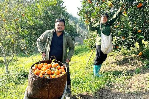 Nông dân vùng cao tỉnh Bắc Kạn ngày càng thích 'số hóa', doanh thu hàng trăm triệu đồng/tháng