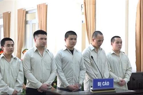 Nhóm đối tượng mua bán trái phép chất ma túy lĩnh 58 năm tù