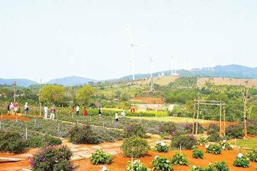 Quảng Trị mở rộng phát triển kinh tế vùng gò đồi, miền núi