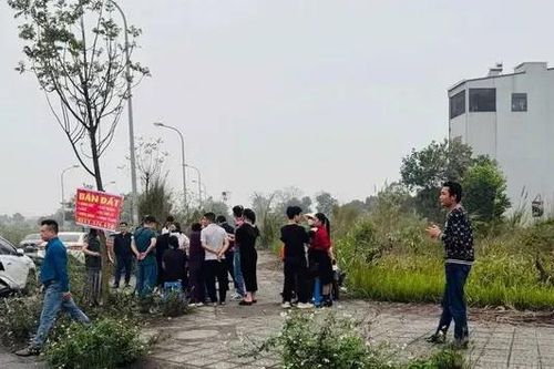 Phú Thọ cảnh báo tình trạng sốt đất ảo