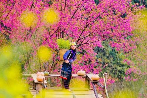 Trải nghiệm du lịch Việt Nam với Top điểm đến giao mùa tháng 4