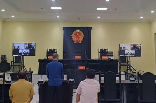 'Đại gia' điện gió miền Tây được giảm án
