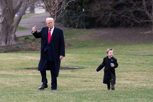 Khoảnh khắc giữa ông Trump và con trai Musk gây bão