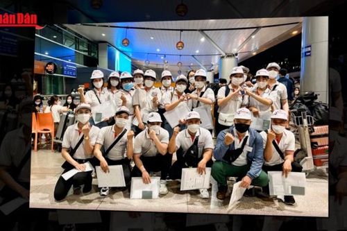 Cảnh báo lừa đảo tuyển lao động nghề hàn, khuôn mẫu làm việc ở Hàn Quốc