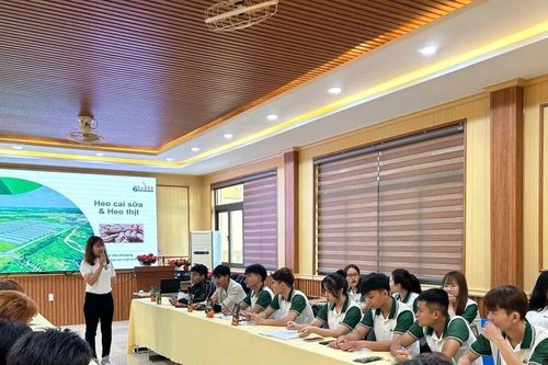 Sinh viên ngành thú y tiếp cận kỹ thuật chăn nuôi công nghệ cao
