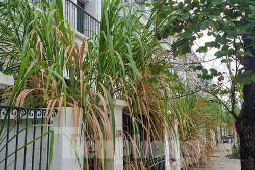 Khung cảnh hoang lạnh của hàng trăm biệt thự trên 'đất vàng' ở TP Hòa Bình