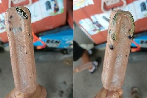 Mua que kem ngoài đường, người đàn ông kinh hãi phát hiện 'vật lạ' bên trong