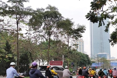 Dự báo thời tiết Thanh Hóa, Hà Tĩnh ngày 15/3: Mưa nhỏ vài nơi, sương mù nhẹ