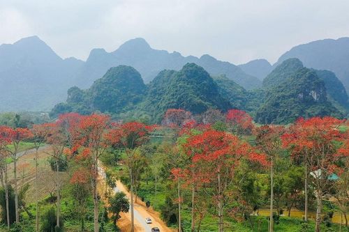 Lễ hội Hoa gạo ở Anh Sơn thu hút hàng ngàn người tham gia