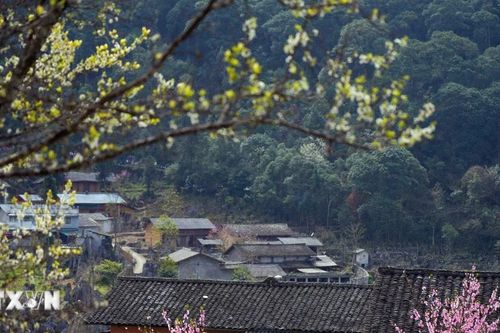Hà Giang: Sắc Xuân trên 'miền đá nở hoa'