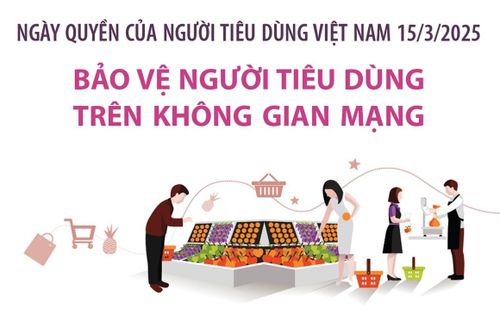Bảo vệ người tiêu dùng trên không gian mạng