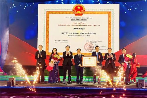 Hải Lăng viết nên câu chuyện thần kỳ về 'hoa trên cát'