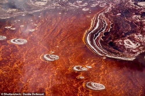 Hồ nước kỳ lạ biến những con vật chạm vào nó thành 'đá'