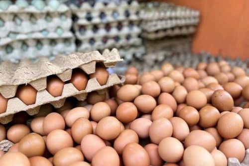 Doanh nghiệp cần lưu ý gì về thủ tục xuất nhập khẩu mới của Singapore?