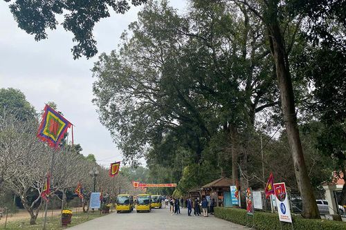 Ngày xuân thăm đất Lam Kinh