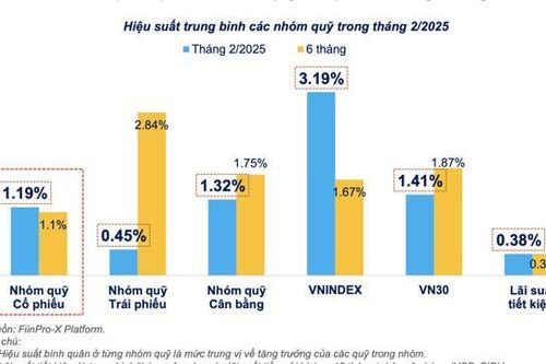 57/68 quỹ cổ phiếu báo lãi trong tháng 2, quỹ nội thắng đậm nhờ 'ôm' cổ phiếu bất động sản