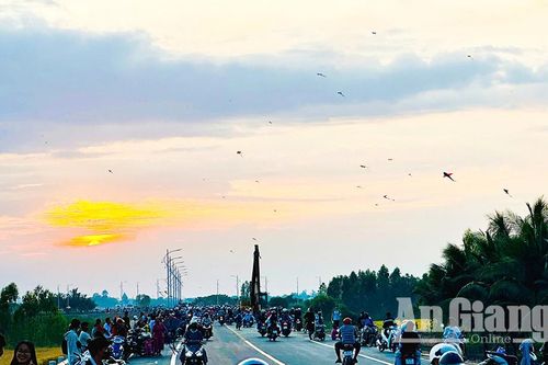 Thỏa thích mùa diều