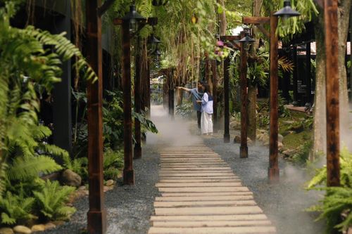 Ốc đảo xanh giữa lòng thành phố
