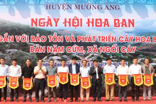 Ngày hội Hoa Ban bản Nặm Cứm