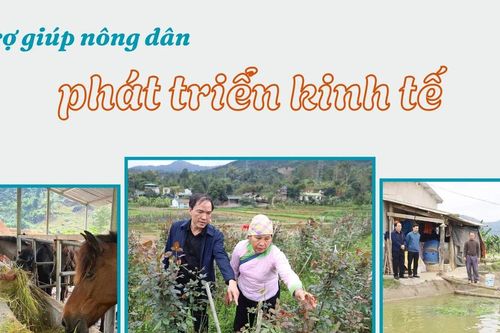 Trợ giúp nông dân phát triển kinh tế