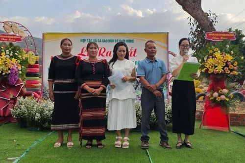 Đam Rông ra mắt Hợp tác xã Ca cao hữu cơ