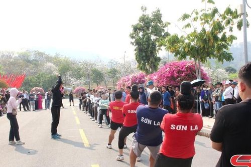 Sôi nổi thi kéo co tại Lễ hội Hoa ban