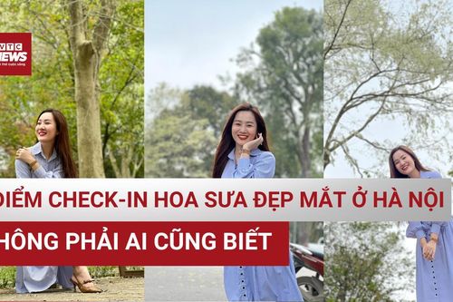 6 địa điểm 'check-in' hoa sưa đẹp nhất Hà Nội, không phải ai cũng biết