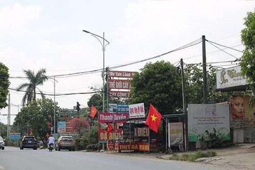 Không để lãng phí đất nông, lâm trường