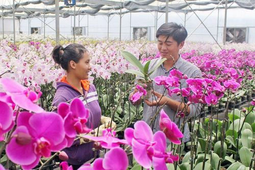 Ngày mới bên dòng Đa Nhim xanh
