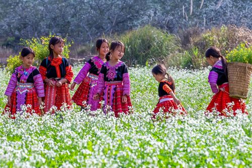 Cơ hội để 'du lịch hoa' trở thành thương hiệu