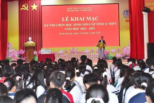 934 thí sinh tỉnh Tuyên Quang thi chọn học sinh giỏi cấp tỉnh lớp 11