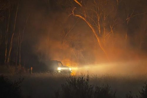 Australia: Nhiệt độ cao hơn trung bình, bang New South Wales cảnh báo nguy cơ cháy rừng nghiêm trọng