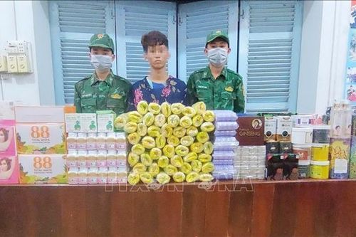 Bắt đối tượng vận chuyển mỹ phẩm, thuốc tân dược trái phép qua biên giới
