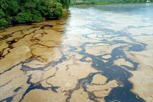 Ecuador ban bố tình trạng khẩn cấp do sự cố tràn dầu
