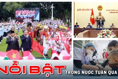 Nổi bật tuần qua: Việt Nam nâng cấp quan hệ với Indonesia, Singapore lên đối tác chiến lược toàn diện
