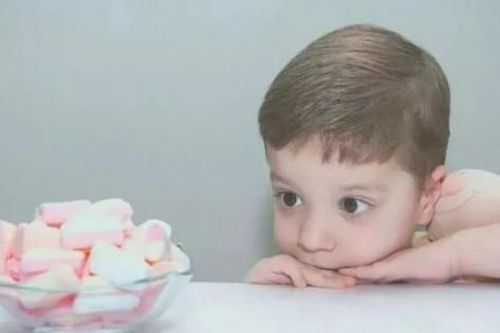 3 dấu hiệu cho thấy trẻ là người có tính kỷ luật cao và sẽ thành công trong mọi việc sau này