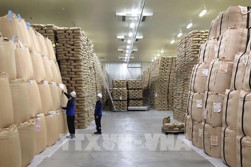 Nhật Bản: Nhập khẩu gạo tư nhân tăng vọt vì thiếu hụt nguồn cung trong nước