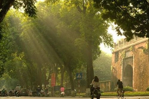 Vạt nắng dịu dàng