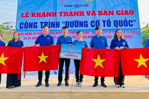Thành Đoàn Pleiku khánh thành công trình 'Đường cờ Tổ quốc' tại khu vực bờ kè suối Hội Phú