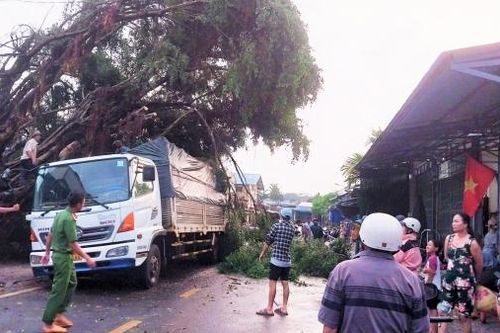 Đạ Huoai: Cây cổ thụ bật gốc đè trúng xe tải đang đậu
